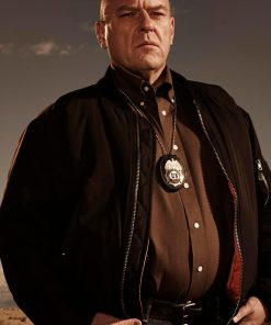 Breaking Bad Imagoi Serie Hank Schrader 1 247x296